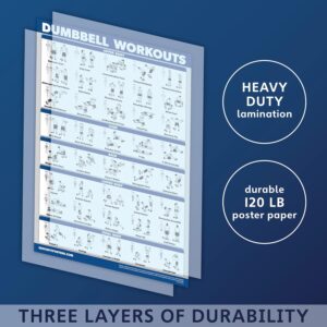 Palace Learning Dumbbell Workout Exercise Poster – Free Weight Body Building Guide | Home Gym Chart – LAMINATED, 18″ x 24″