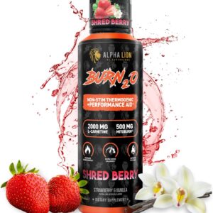 ALPHA LION Burn2O L-Carnitine Liquid 2000mg, Premium Liquid Fat Burner & Pre-Workout Supplement for Men & Women – Natural Energy & Metabolism Booster for Weight Loss – ShredBerry
