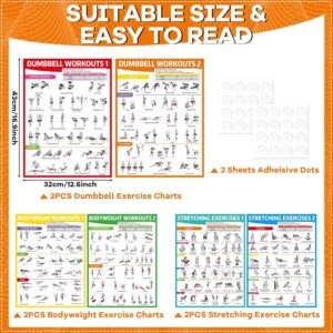 gisgfim 6PCS Workout Posters for Home Gym Dumbbell Bodyweight Stretching Workout Exercise Chart