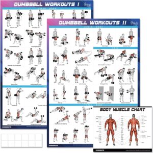 Dumbbell Workout Poster Set (2 Pack) – Workout Posters for Home Gym, Volume I & II – 18″ x 24″ with Enlarged Dumbbell Exercise Charts Illustrations, Home Gym Decor