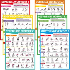 gisgfim 6PCS Workout Posters for Home Gym Dumbbell Bodyweight Stretching Workout Exercise Chart