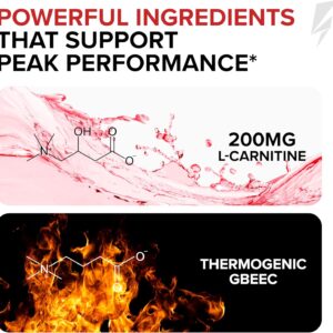 InnoSupps Volcarn 2000 – L-CARNITINE Advanced Energy Liquid | ATP Enhancer with GBEEC | Boosts Energy, Enhances Focus, Caffeine Free, No Artificial Sweeteners | 32 Servings (Rainbow Sherbet)
