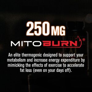 Jacked Factory Burn-XT Max – High-Performance Thermogenic Fat Burner & Appetite Suppressant for Weight Loss w/PurCaf Organic Caffeine, MitoBurn, Green Tea, Acetyl L Carnitine & More – 90 Capsules