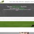 cellulite removal video presentation
